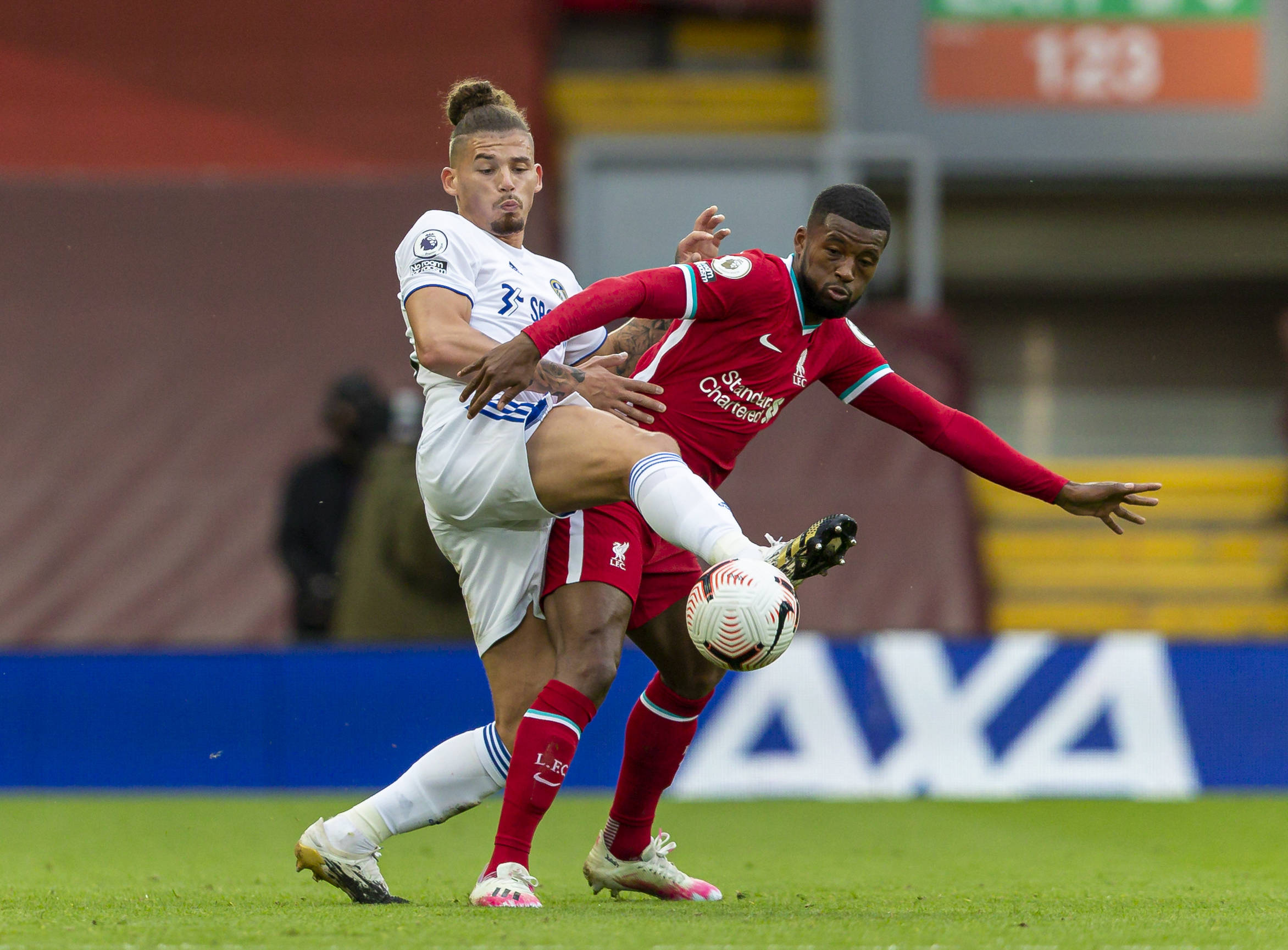 迷們看到了 迷們看到了